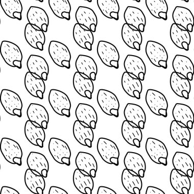 Kabak çekirdekleri elle çizilmiş vektörsüz desen. Taslak monokrom dokusu karalama stilinde yapılır. Meyve