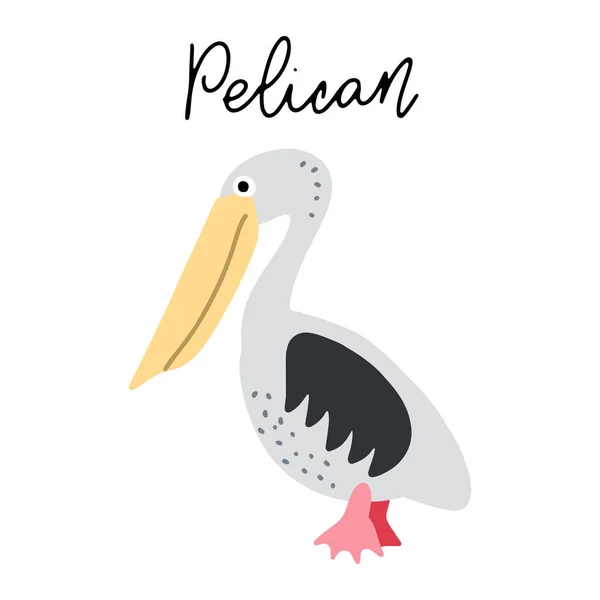 Australijski Ptak Pelican Wektor Ilustracji Clipart Plakat Dla Dzieci — Wektor stockowy