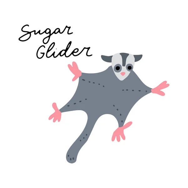 Australian Animal Sugar Glider Vector Ilustración Clipart Cartel Diseño Infantil — Vector de stock
