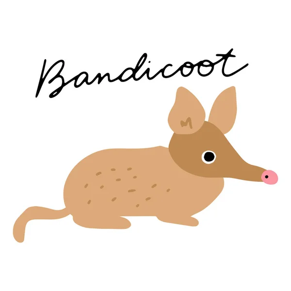 Australian Animal Bandicoot Vector Ilustración Clipart Cartel Diseño Infantil — Vector de stock