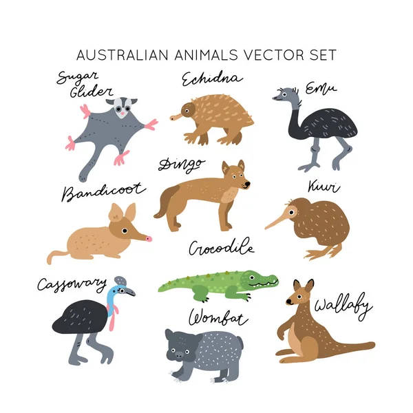 Australian Animals Vector Illustrations Clipart Bundle Kids Design Posters Set — Stock Vector