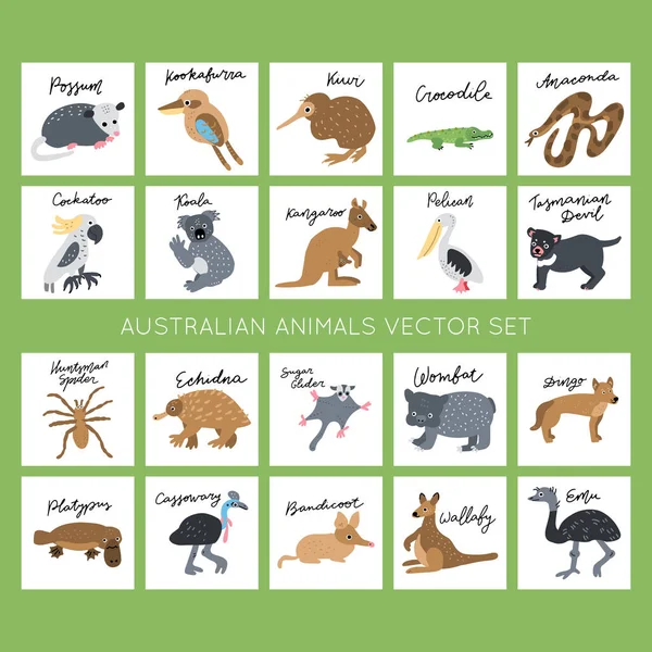 Australian Animals Vector Illustrations Clipart Bundle Kids Design Posters Set — Stock Vector