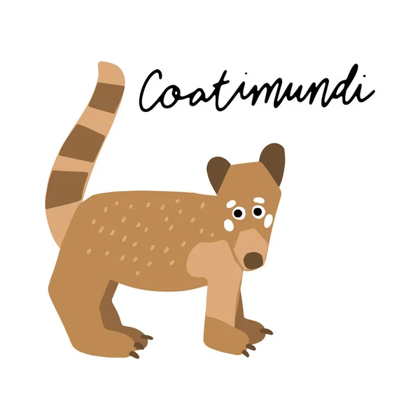 Sudamérica Coatimundi Portada Ilustración Vectores Animales Cartel Diseño Infantil Dibujo — Vector de stock