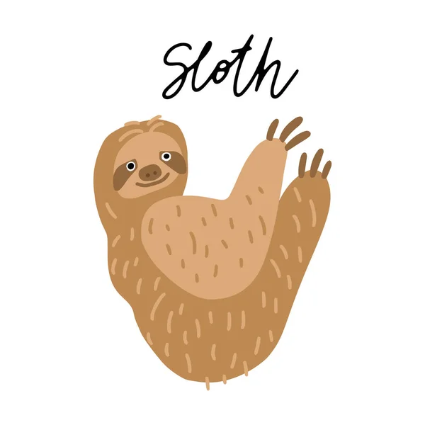 Amérique Sud Sloth Illustration Vectorielle Animale Clipart Poster Design Pour — Image vectorielle