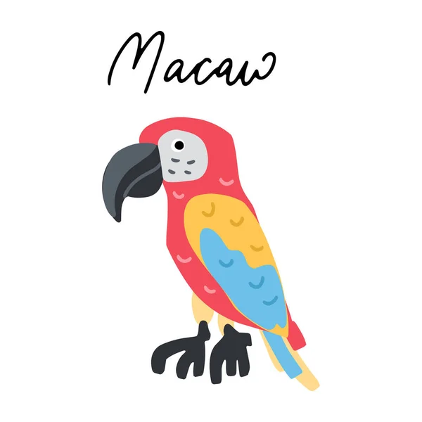 Amérique Sud Macaw Parrot Vecteur Illustration Clipart Poster Design Pour — Image vectorielle
