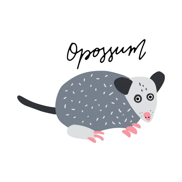 América Del Sur Opossum Animal Vector Ilustración Clipart Cartel Diseño — Vector de stock