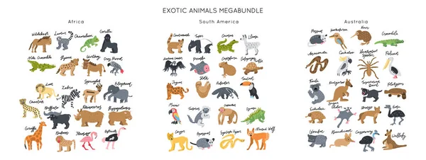 Egzotyczne Zwierzęta Kliparty Wektorowe Ilustracje Zestaw Elegancki Pakiet Wektorowy Kolekcja — Wektor stockowy