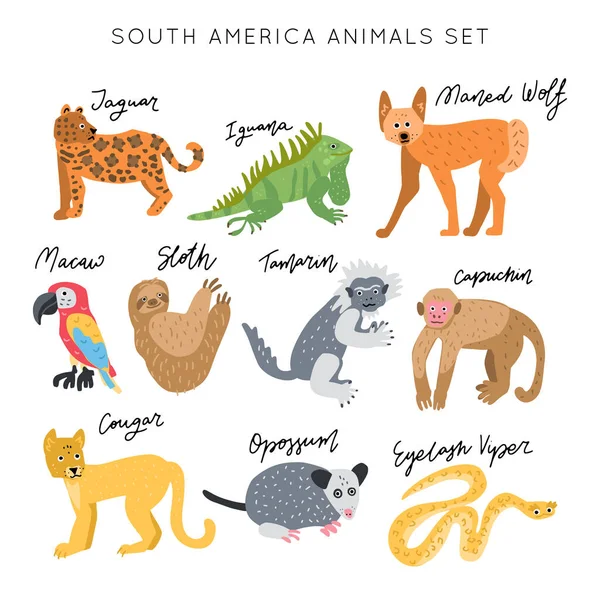 Südamerika Animal Vector Illustration Cliparts Set Kinder Gestalten Poster Wilde — Stockvektor