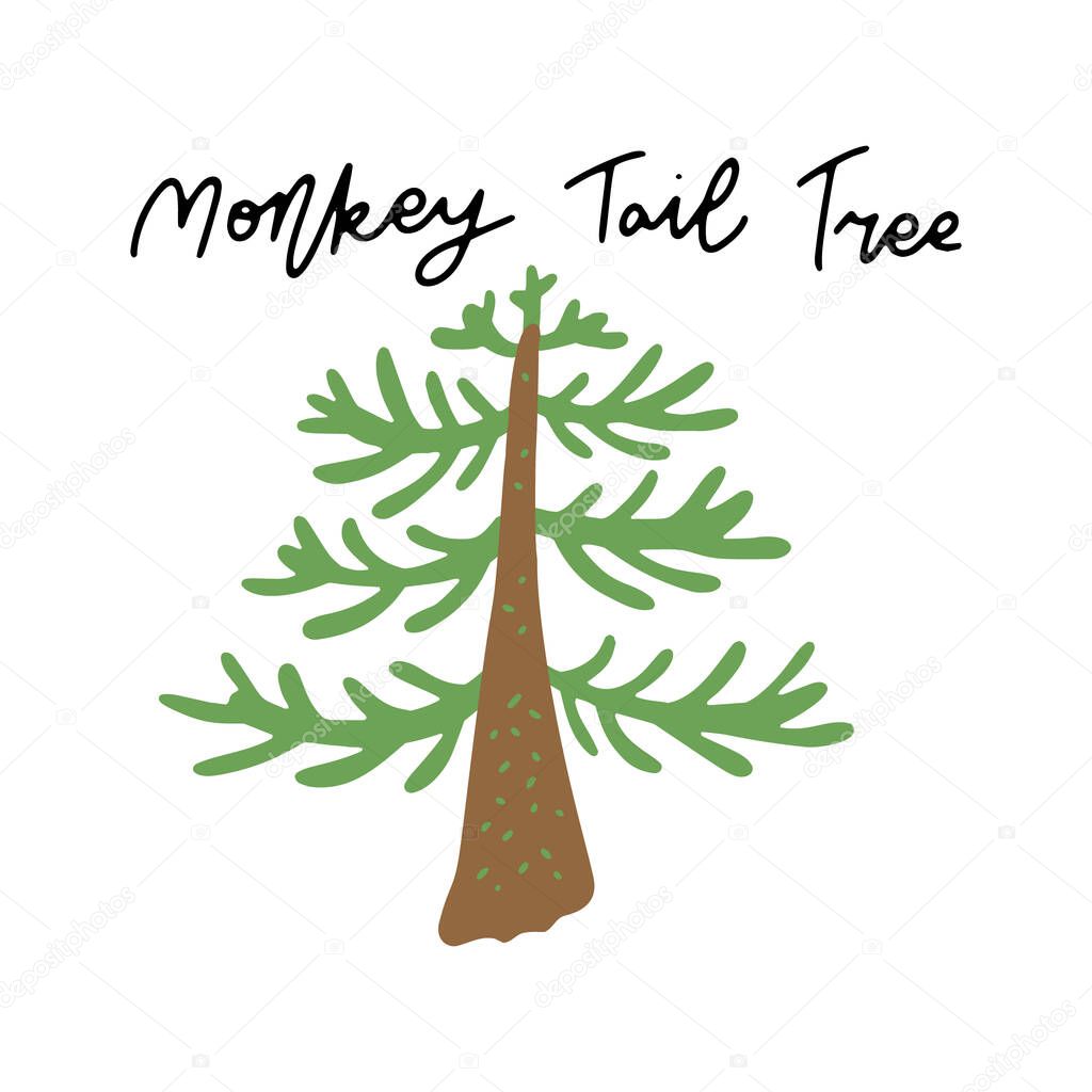 South America Landmark Monkey Tail tree vector illustration. Vector isolated clipart. Kids design poster. Drawing in scandinavian style.