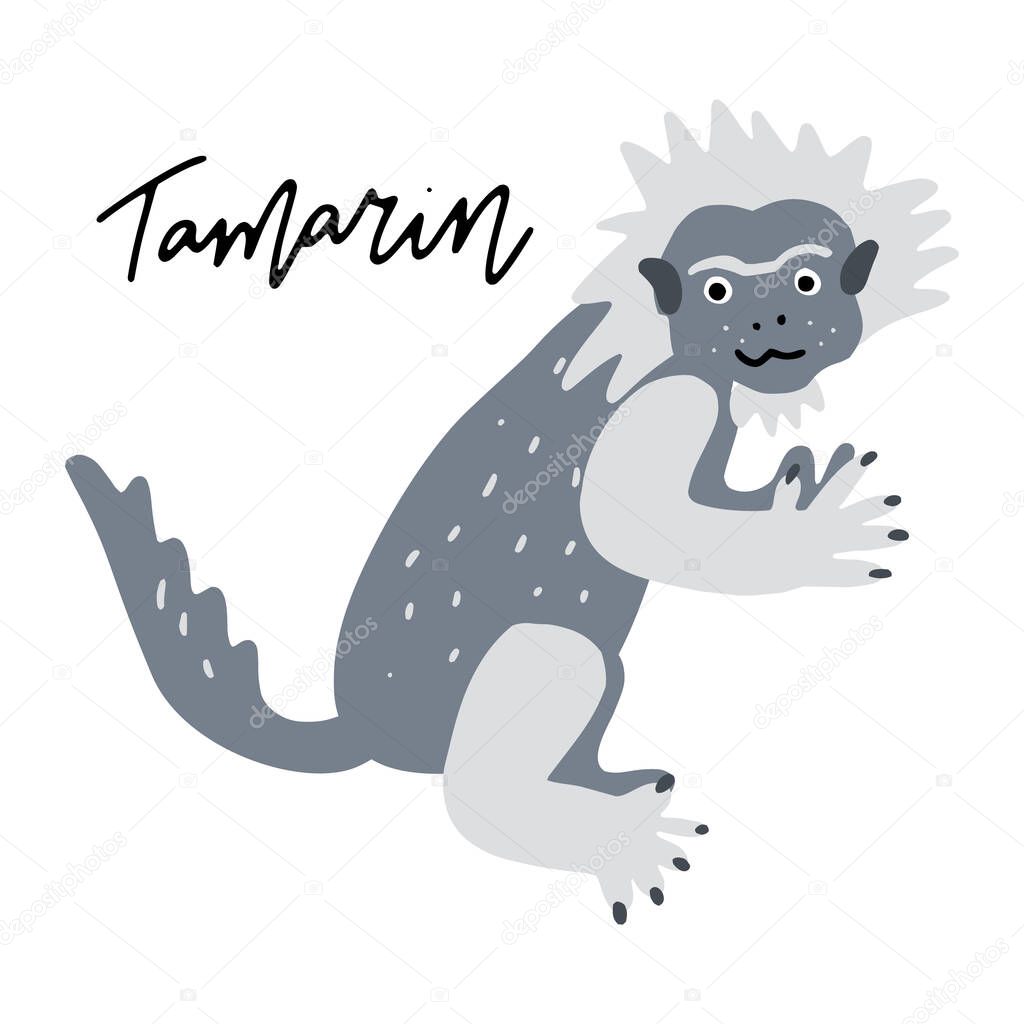 South AmericaTamarin monkey vector illustration clipart. Kids design poster. Wild mammal drawing in scandinavian style. Handwritten lettering. Exotic animal wildlife. 