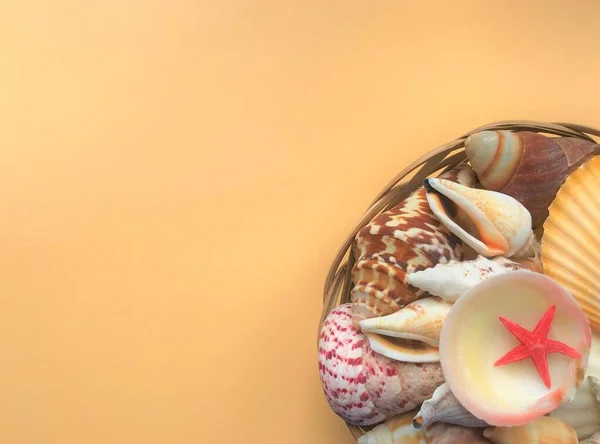 A lot of exotic colored seashells and a small starfish lie in a basket in the lower right corner on a pale orange background with space for text