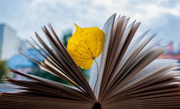 Close-up of an open book, between the sheets which seemed stuck bright yellow dried leaf. On a blurred background - sky, houses, trees. The concept of Autumn, leaf fall, depression, sadness, dreams
