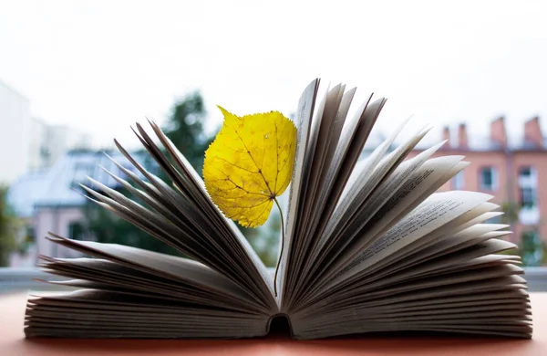 Close-up of an open book, between the sheets which seemed stuck bright yellow dried leaf. On a blurred background - sky, houses, trees. The concept of Autumn, leaf fall, depression, sadness, dreams