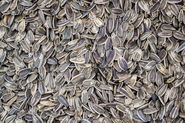 Sunflower seeds. Natural food background
