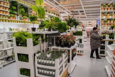 Moskova, Rusya, Eylül 2019: IKEA mağazasının içinde, fabrika bölümünde. Bir sürü canlı ve yapay yeşil çiçekler, raflarda saksılar. Malların arasında ceketli bir müşteri var.