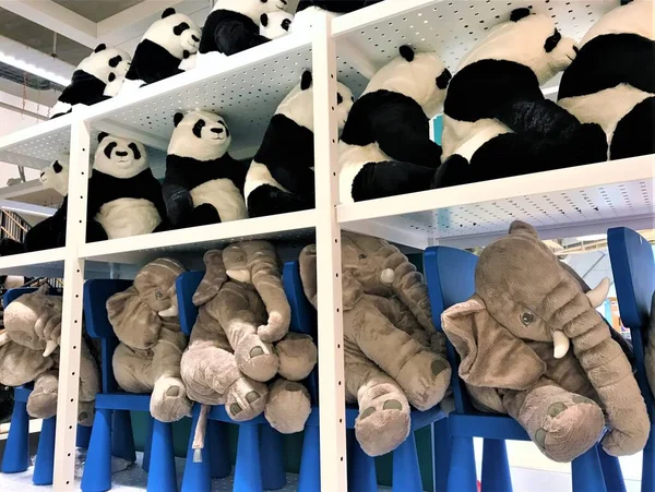 Moskou Rusland Juli 2019 Reuzenteddyberen Panda Met Welpen Grijze Olifanten — Stockfoto