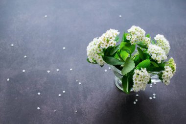 Beyaz narin çiçekli Spirea dalları ve dağınık yapraklı siyah arka planda küçük cam bir vazoda yeşil yapraklar. Boşluğu kopyala