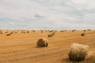 Saman balyalarıyla hasat edilen tarla, yaz sonu, sonbahar 
