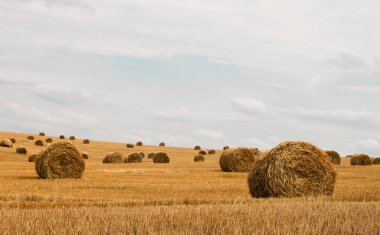 Saman balyalarıyla hasat edilen tarla, yaz sonu, sonbahar 