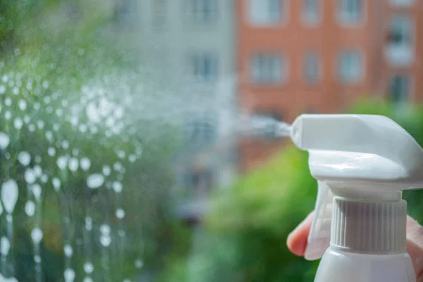 Cleaning window pane with spray detergent. Outside the window blurred street, houses, greenery. The concept of cleanliness, cleaning and sanitizing home