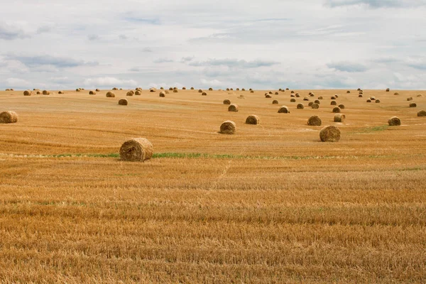 Harvested Field Straw Bales End Summer Autumn — Stock Photo, Image
