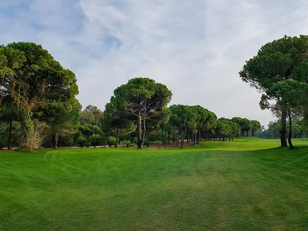 Landschap Van Golfbanen Met Paden Bos — Stockfoto