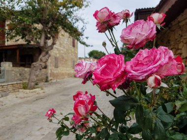 Bulutlu mavi gökyüzüne karşı bir ofis binasının işaret edilmiş kulesi. Boşluğu kopyala.