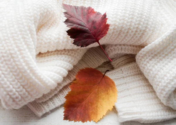 Cozy white warm sweater simple knitting pigtails with bright yellow, red and Burgundy autumn leaves. The concept of autumn, comfort, coming cold weather, special mood.