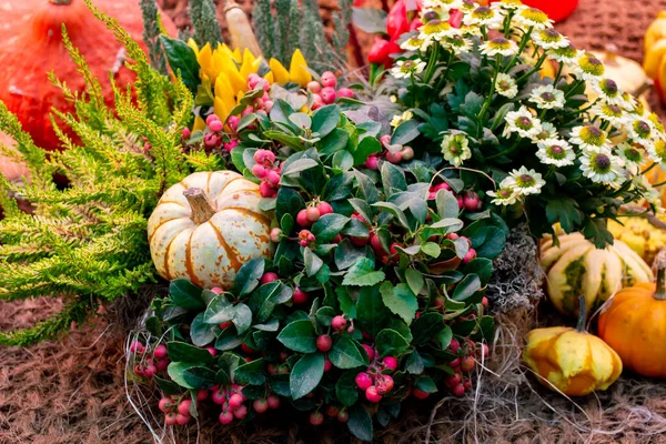 Arreglo Floral Feria Otoño Pimiento Amarillo Decorativo Baya Nieve Rosa — Foto de Stock