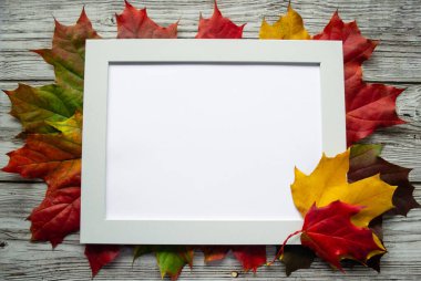 Parlak çok renkli akçaağaç yapraklarının arka planında kırmızı, sarı, yeşil, gri ve yeşil ahşap çizimler için boşluk veya resimleme alanı olan beyaz çerçeve.