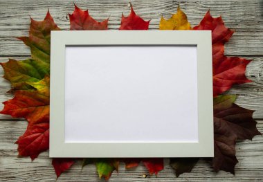 Parlak çok renkli akçaağaç yapraklarının arka planında kırmızı, sarı, yeşil, gri ve yeşil ahşap çizimler için boşluk veya resimleme alanı olan beyaz çerçeve.