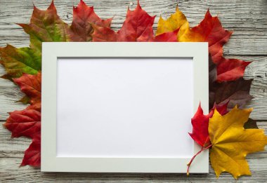 Parlak çok renkli akçaağaç yapraklarının arka planında kırmızı, sarı, yeşil, gri ve yeşil ahşap çizimler için boşluk veya resimleme alanı olan beyaz çerçeve.