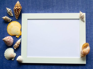Beyaz çerçeve, metin için boşluk ya da mavi arkaplan üzerinde illüstrasyon. Solda ve çerçevede renkli egzotik kabuklar var..