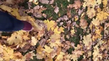 Sarı akçaağaç yaprağı hışırtısı içinde yürüyen, kestane rengi spor ayakkabılı ve kot pantolonlu bilinmeyen birinin ayakları. Dikey video 