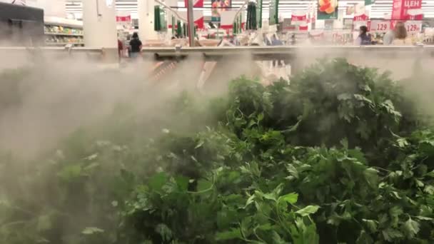 Mosca Russia Agosto 2020 Bancone Del Supermercato Con Fasci Prezzemolo — Video Stock