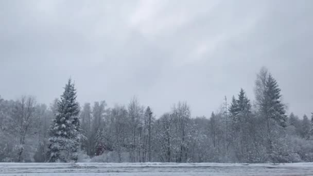 Inverno Queda Neve Vista Estrada Através Das Árvores Caminhões Carros — Vídeo de Stock