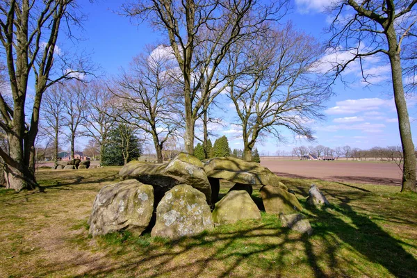 Megalitik dolmen mezarları Hollanda 'nın arka planında tarlaları ve çiftlikleri olan Hunebed, D28 olarak adlandırılır. Borger, Drenthe, Hollanda.