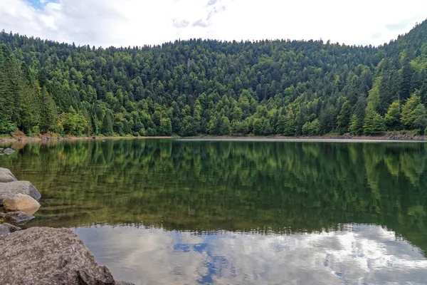 Dağ Gölü ağaçlar, Vosges, Fransa