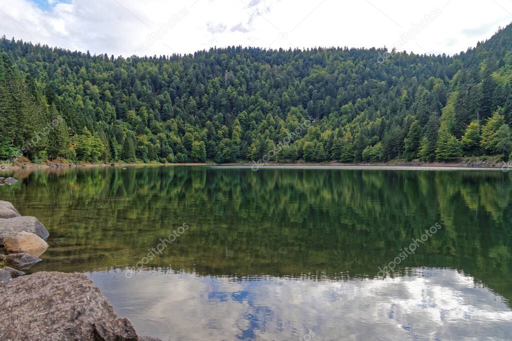 Mountain lake surrounded by trees, Vosges, France