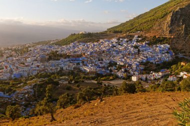 Chefchaouen, Fas 'ın gün batımında dağ ve palmiye ağacı manzarası. Mavi şehir. Fas 'a gidiyorum. Sıcak renkler