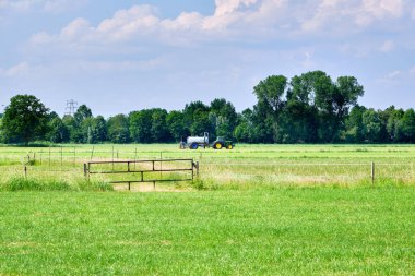 Yeşil çayır, çitli çayır ve sıvı gübre yayıcısı, traktör toprağa sıvı gübre enjekte ediyor. Hollanda