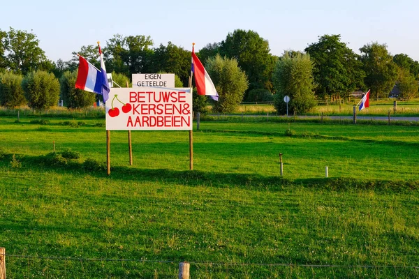 Nederlands bord met daarop: Zelfgeteelde kersen en aardbeien te koop, afkomstig van Betuwe Holland. Te koop bord in grasland met Nederlandse vlaggen, bij zonsondergang — Stockfoto