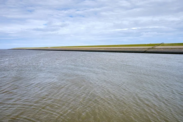 Koyun yeşil otlağı ve Wadden denizi olan deniz kenarındaki bir hendeğin tipik Alman manzarası. Sedyk, Friesland, Harlingen, Hollanda.