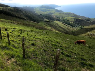 Bask ülke manzarası 2