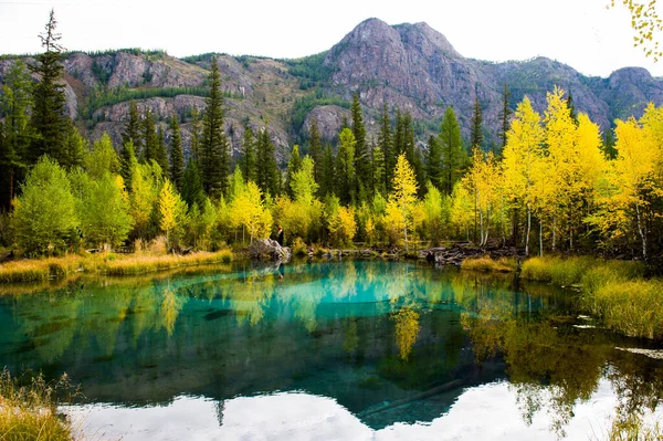 Lago Blue Geyser en las montañas de Altai en el fondo de un bosque. Paisaje, piscina . — Foto de Stock