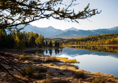 Önde göl ve ağaç dalları, Altai, Sibirya, sonbahar günü. Tayga, güzel gökyüzü, dağlar.