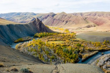 Güzel güneş vadisi ve açık nehir Kyzyltan dağların arasında yemyeşil bulutlarla. Altai sonbahar ormanı, sonbahar, macera, turizm.