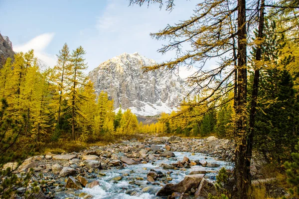 Paisaje otoñal con el río Aktru y el pico Karatash. Montañas Altai en clima nublado. Siberia. Rusia — Foto de Stock