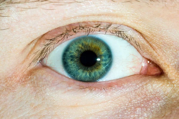 Primer plano de un ojo de hombre con un hermoso color verde. Sorpresa. . — Foto de Stock