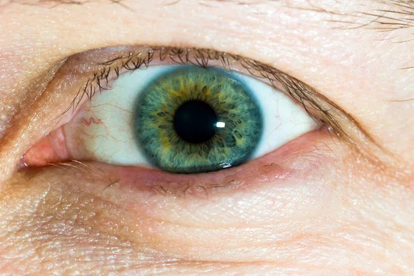 Primer plano de un ojo de hombre con un hermoso color verde. Miedo, miedo . — Foto de Stock